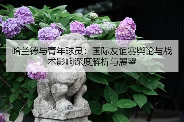 哈兰德与青年球员：国际友谊赛舆论与战术影响深度解析与展望